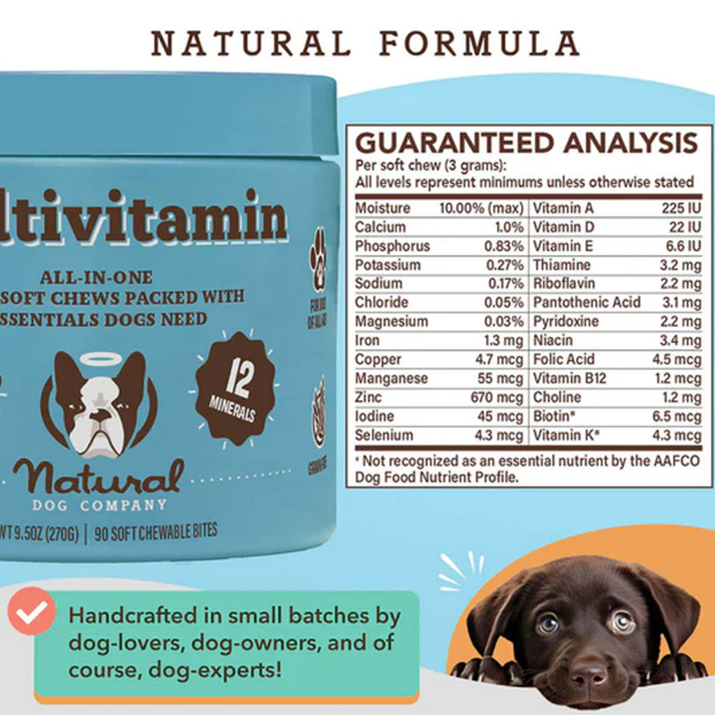 Multivitamin Supplement 90ct guaranteed analysis 