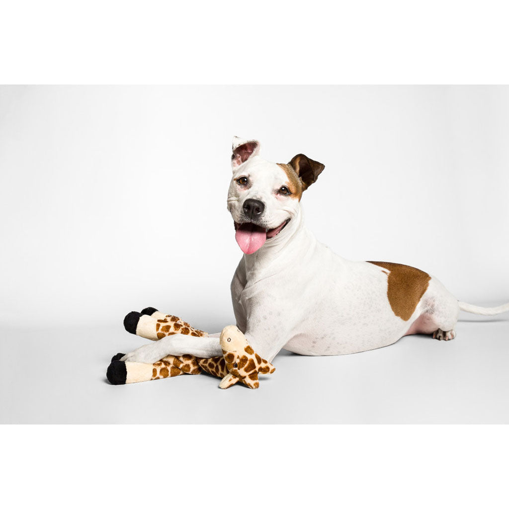 Dog with Nelly Giraffe Plush Toy