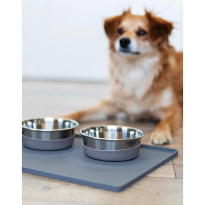 Brown and white dog beside two Messy Mutts stainless steel bowls with gray silicone bases on a feeding mat.