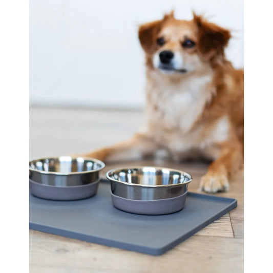 Brown and white dog beside two Messy Mutts stainless steel bowls with gray silicone bases on a feeding mat.