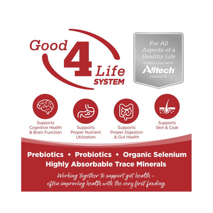 Good 4 Life System graphic listing prebiotics, probiotics, organic selenium, and trace minerals with brain, digestion, and skin-and-coat icons
