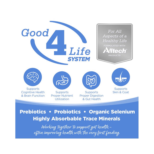 Good 4 Life System graphic listing prebiotics, probiotics, organic selenium, and trace minerals with brain, digestion, and skin-and-coat icons