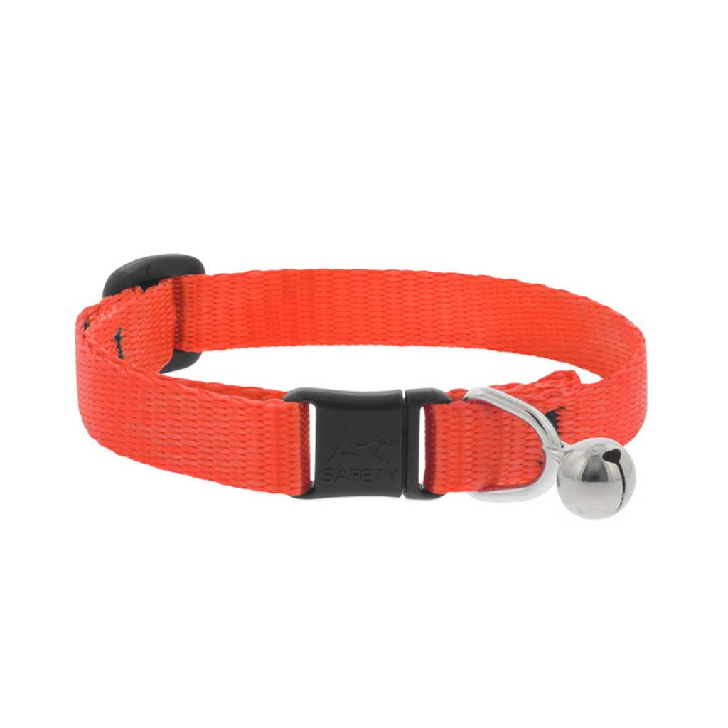 Orange Breakaway Collar