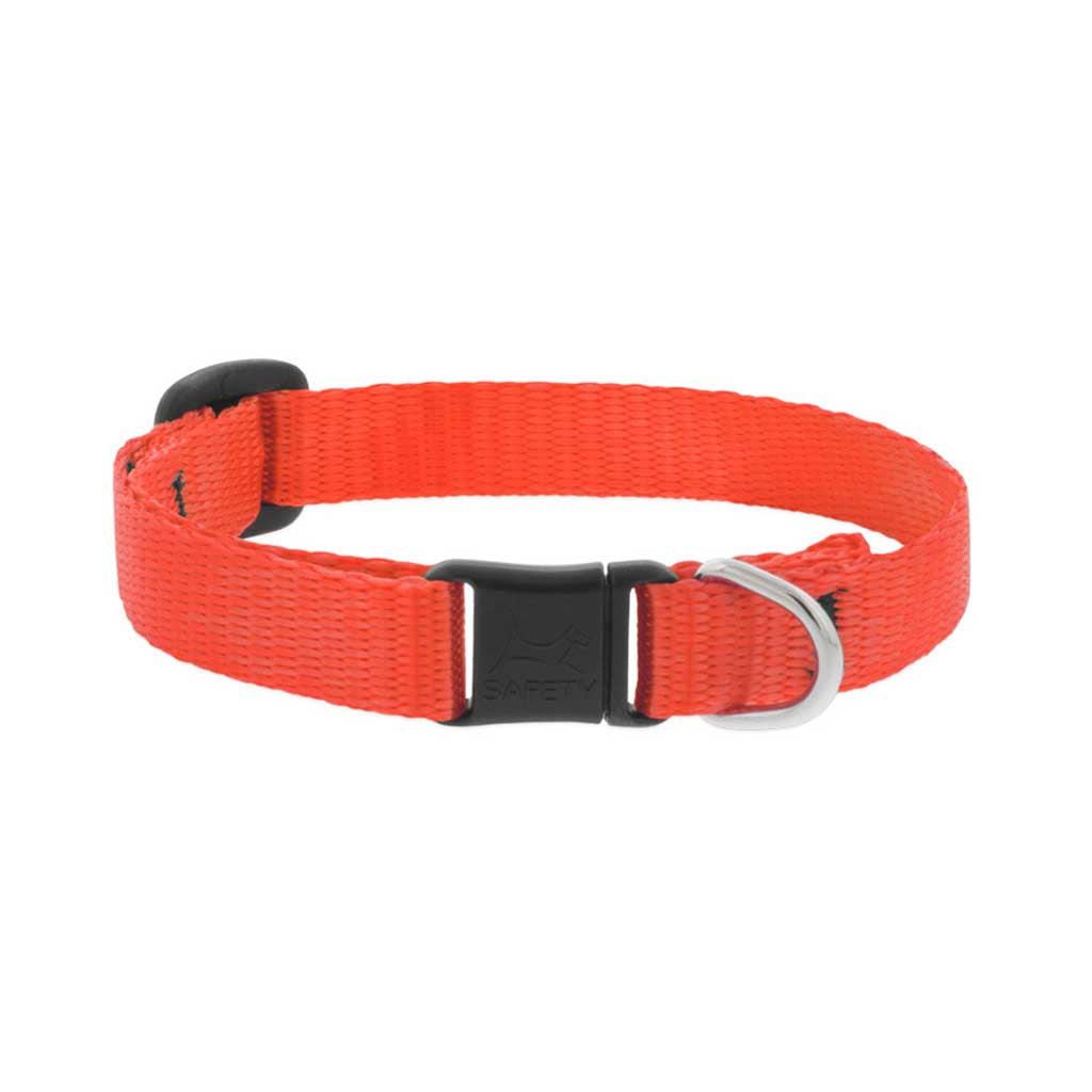 Orange Breakaway Collar
