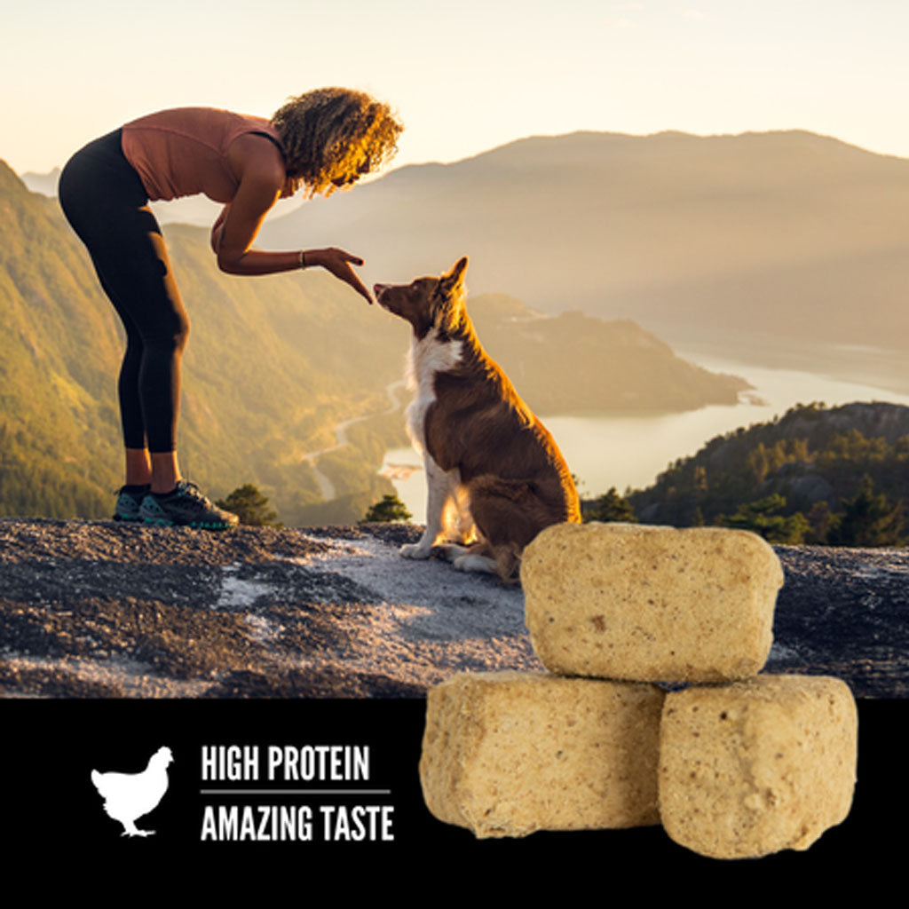 Original Freeze-dried Dog Treats 3.25oz high protein and great taste.