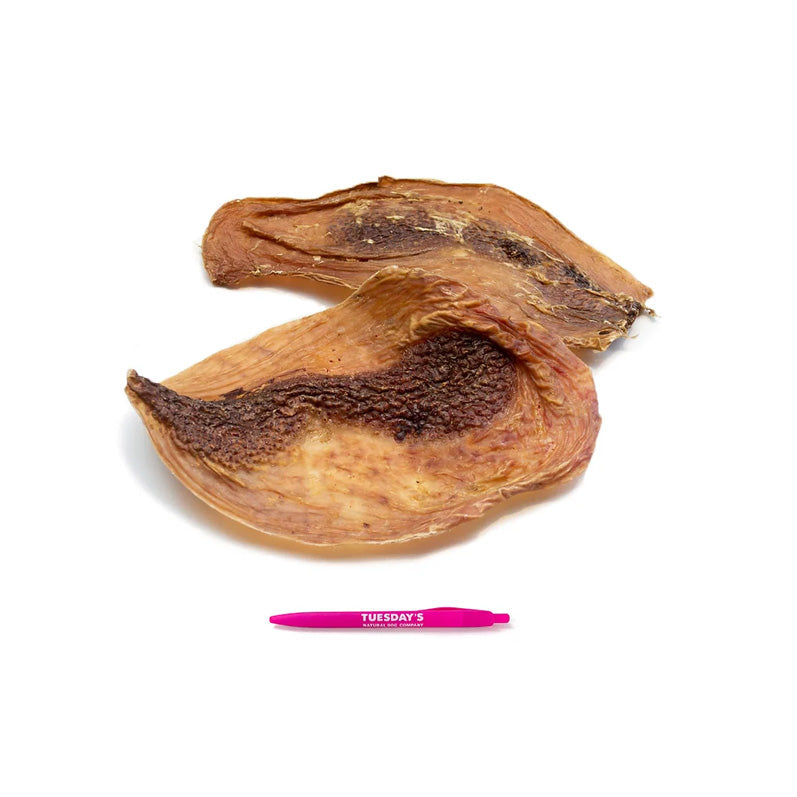 Ostrich Disc