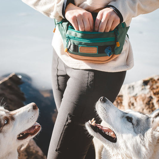 Utility Fanny Pack