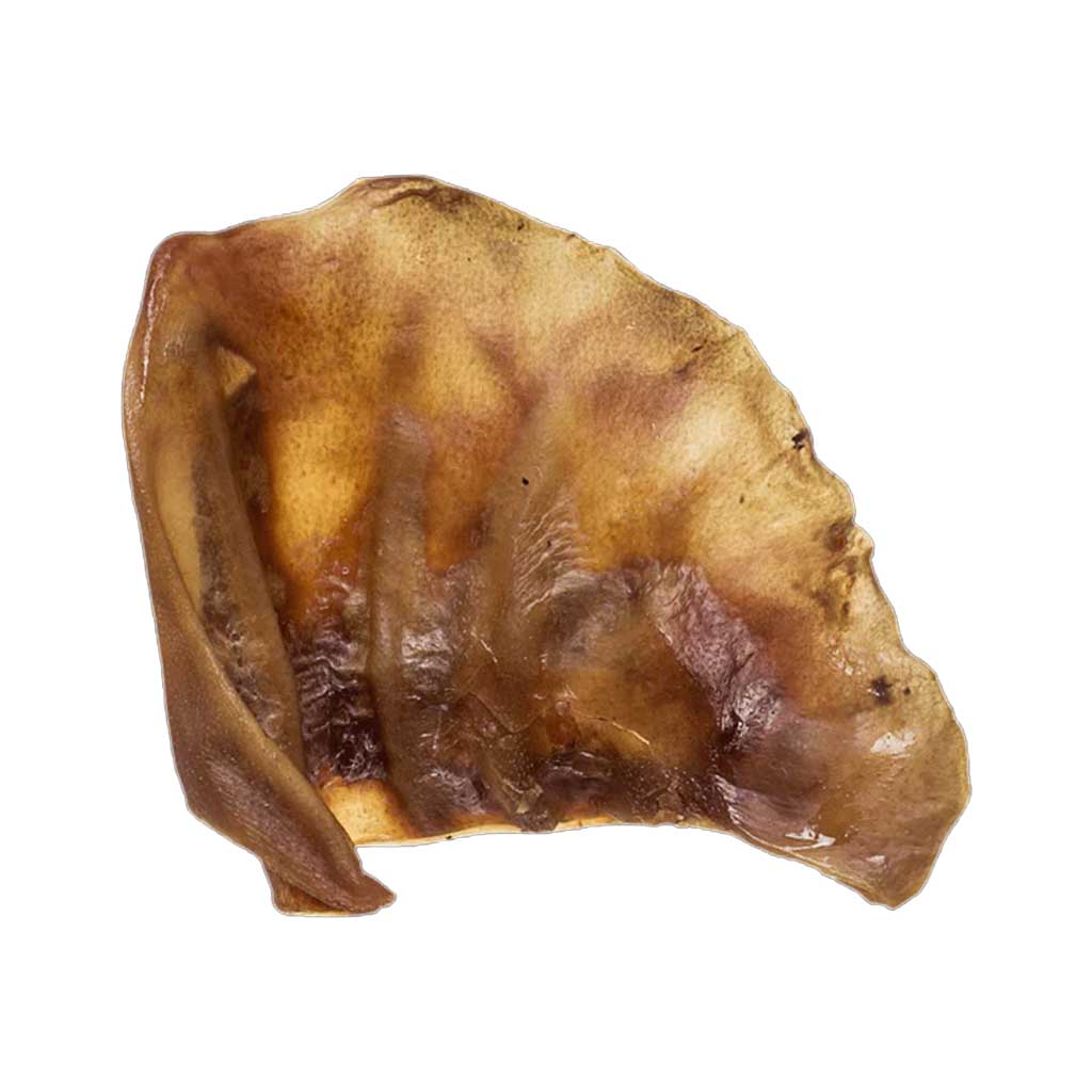 Pig Ear