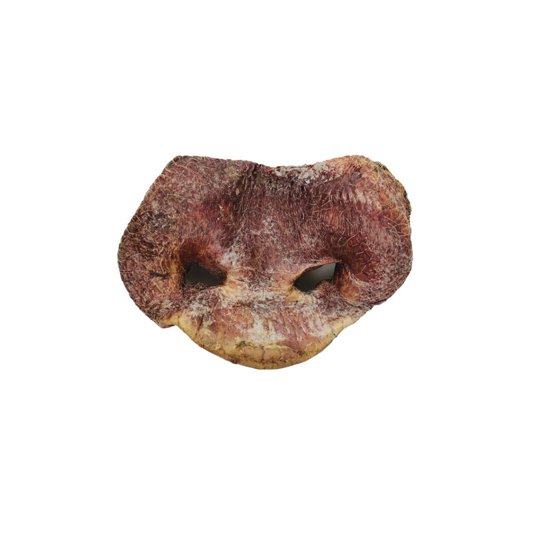 Freeze-dried Pig Snout