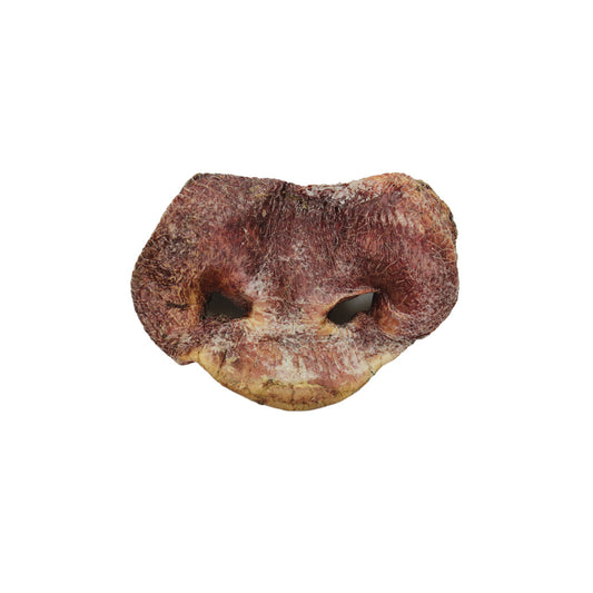 Freeze-dried Pig Snout