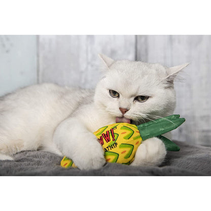Pineapple Catnip Toy