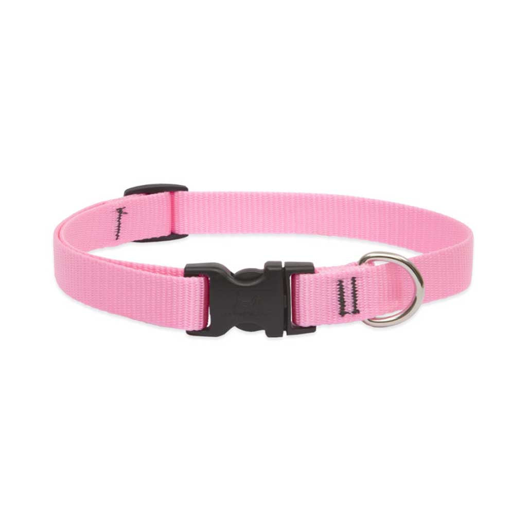 Pink Lupine Pet dog collar with nylon webbing, a black side-release buckle, and welded metal D-ring.
