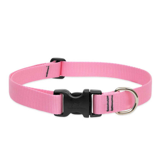 Pink Lupine Pet adjustable nylon dog collar with a black side-release buckle and metal D-ring.