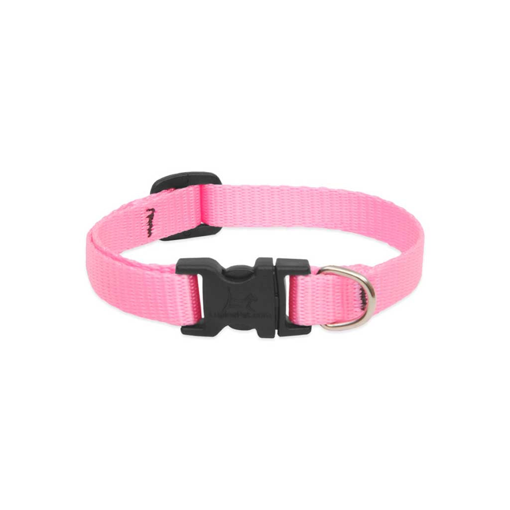 Pink Lupine Pet nylon dog collar showing its adjustable strap, black buckle, and silver D-ring.