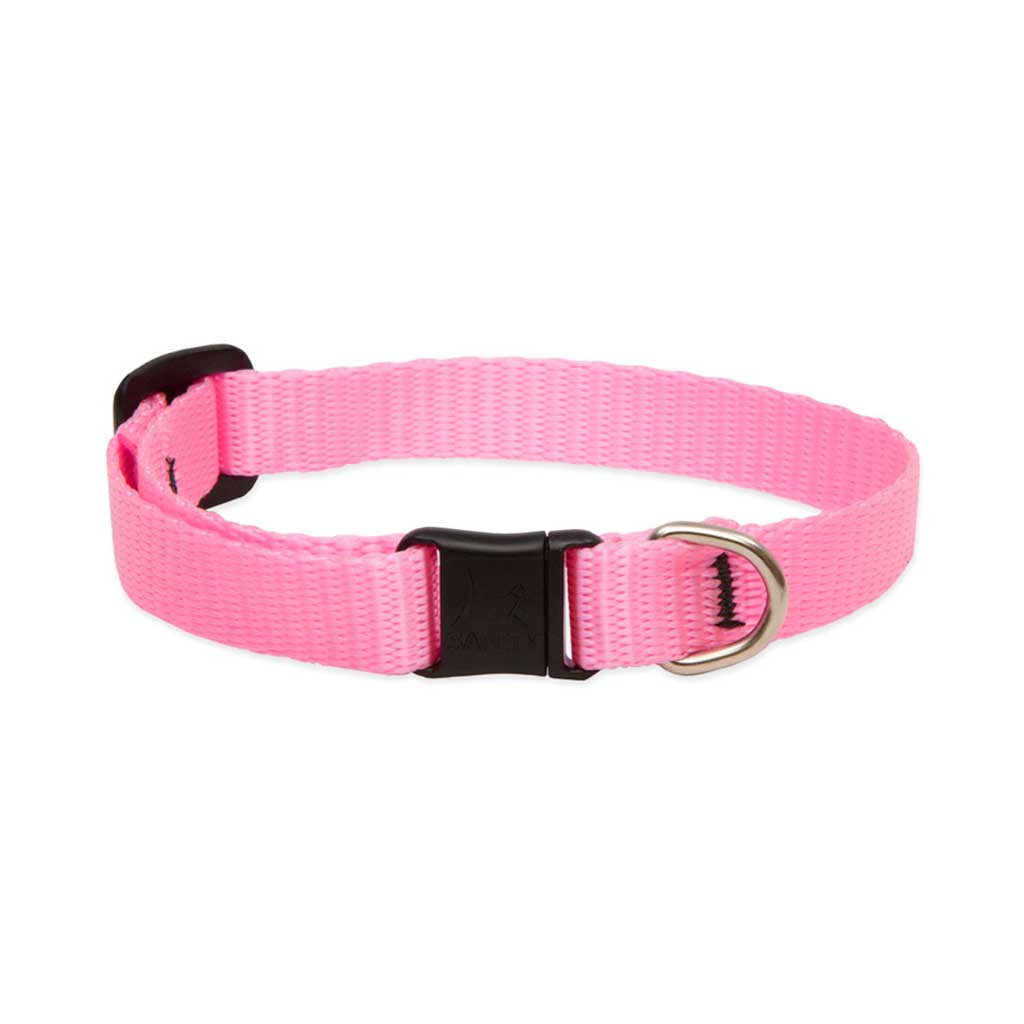 Pink Lupine Pet breakaway cat collar with a black safety buckle and silver identification ring.