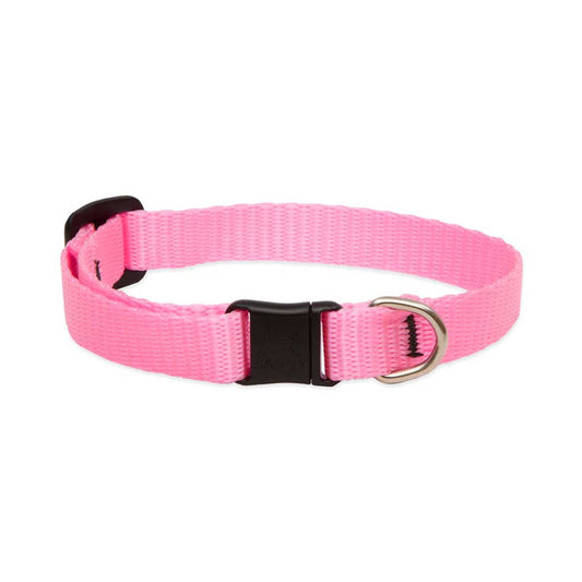 Pink Lupine Pet breakaway cat collar with a black safety buckle and silver identification ring.