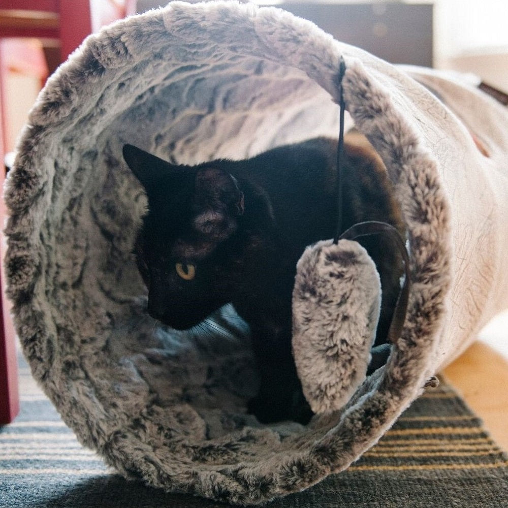 Purr & Pounce Cat Tunnel Ash Gray - Bancroft Pet Shop