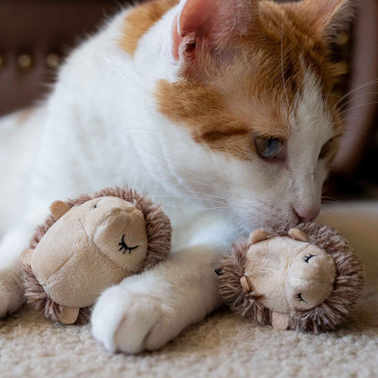 Cat playing with Feline Frenzy Mama & Chip Catnip Toy