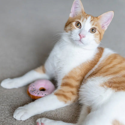 Cat playing with Feline Frenzy Kitty Kreme Donuts Catnip Toy