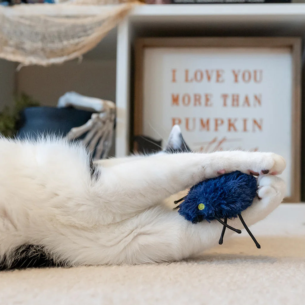 Cat playing with Feline Frenzy Creepy Critters Catnip Toy