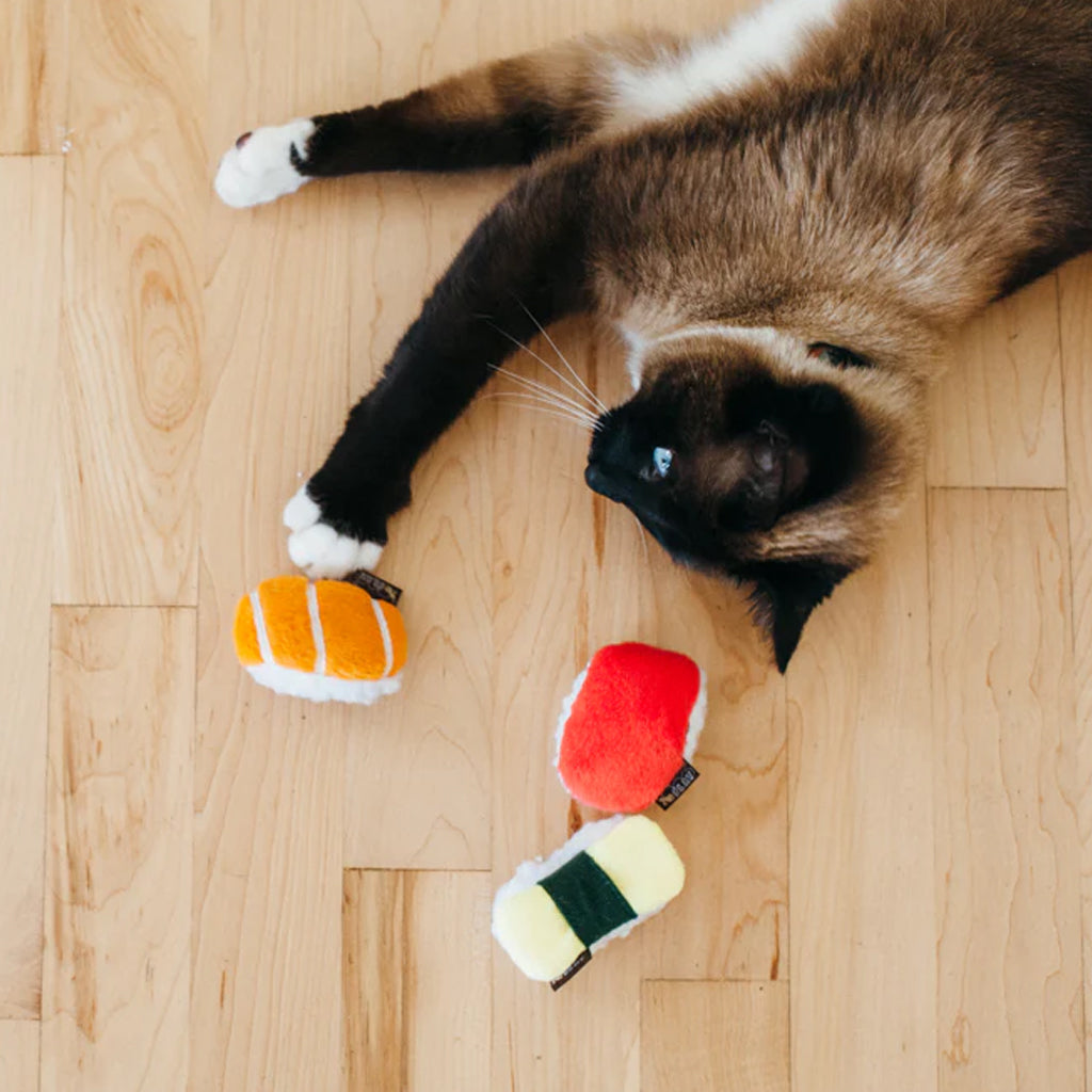 Cat playing with Feline Frenzy Sassy Sushi Catnip Toy