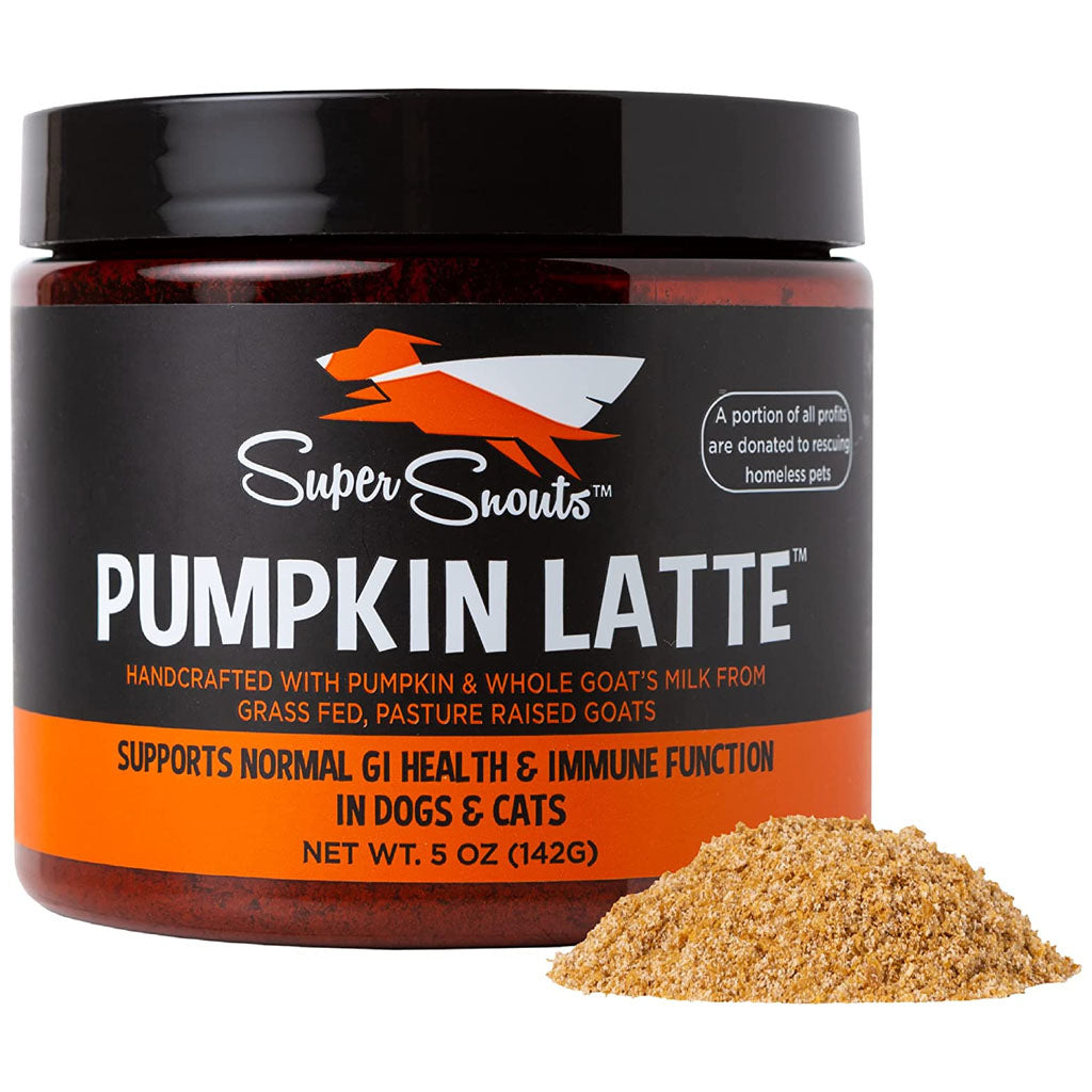 Super Snouts Pumpkin Latte jar beside a mound of tan pumpkin and goat milk powder, on white.
