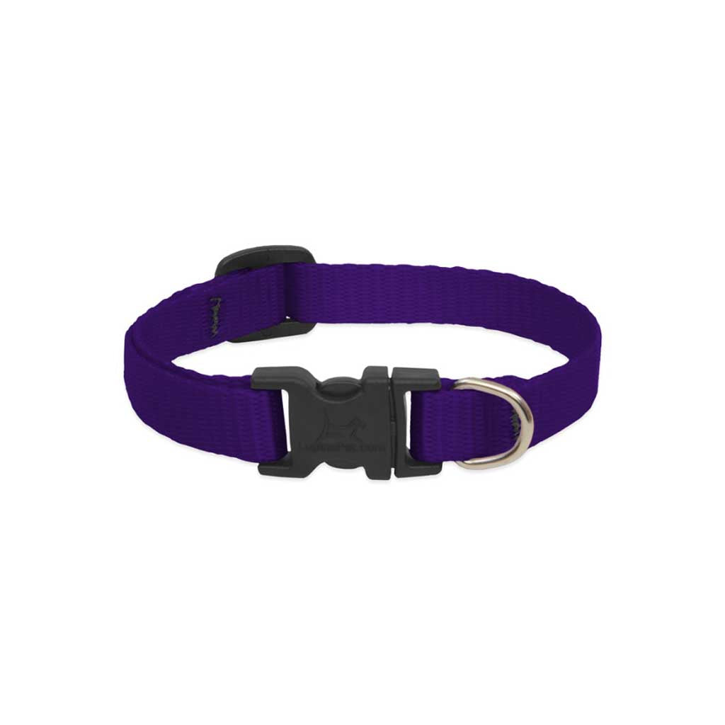 Purple Lupine Pet nylon dog collar showing its adjustable strap, black buckle, and silver D-ring.