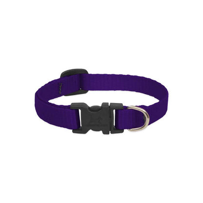 Purple Lupine Pet nylon dog collar showing its adjustable strap, black buckle, and silver D-ring.