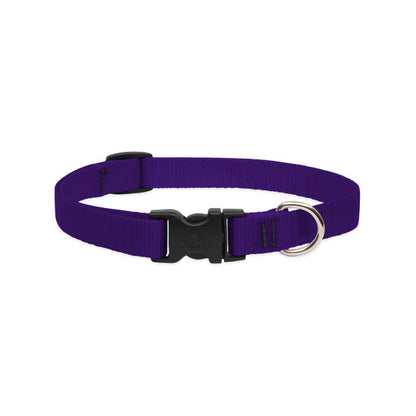 Purple Lupine Pet dog collar with nylon webbing, a black side-release buckle, and welded metal D-ring.