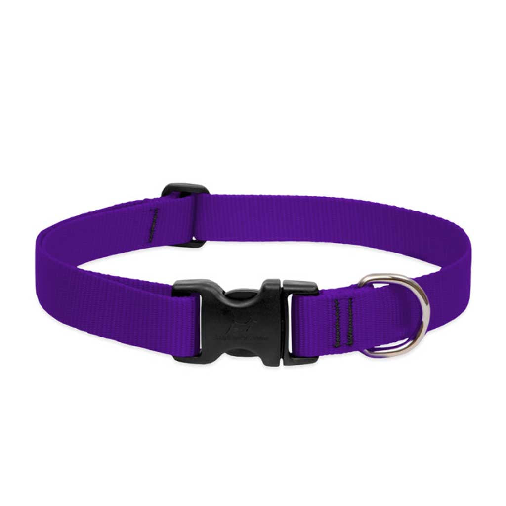 Purple Lupine Pet adjustable nylon dog collar with a black side-release buckle and metal D-ring.