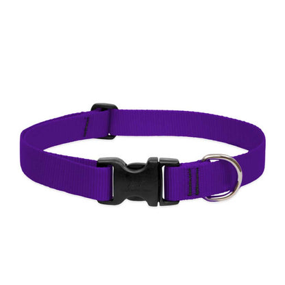 Purple Lupine Pet adjustable nylon dog collar with a black side-release buckle and metal D-ring.