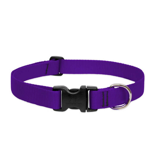 Purple Lupine Pet adjustable nylon dog collar with a black side-release buckle and metal D-ring.