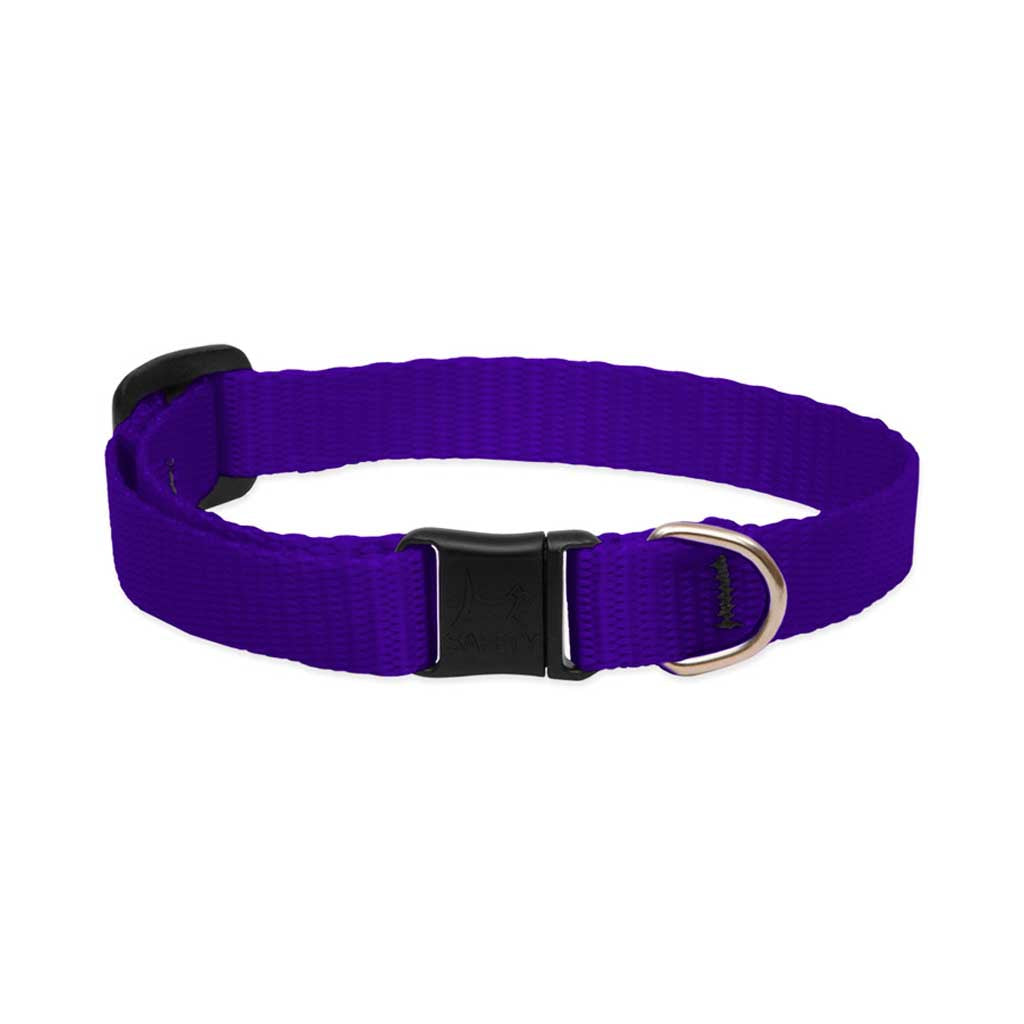 Purple Lupine Pet breakaway cat collar with a black safety buckle and silver identification ring.
