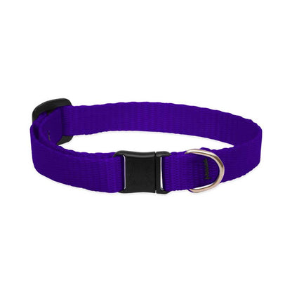 Purple Lupine Pet breakaway cat collar with a black safety buckle and silver identification ring.