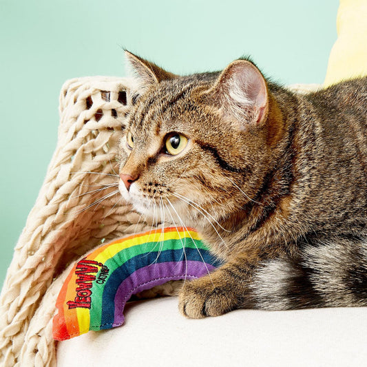 Cat with Catnip Rainbow Cat Toy