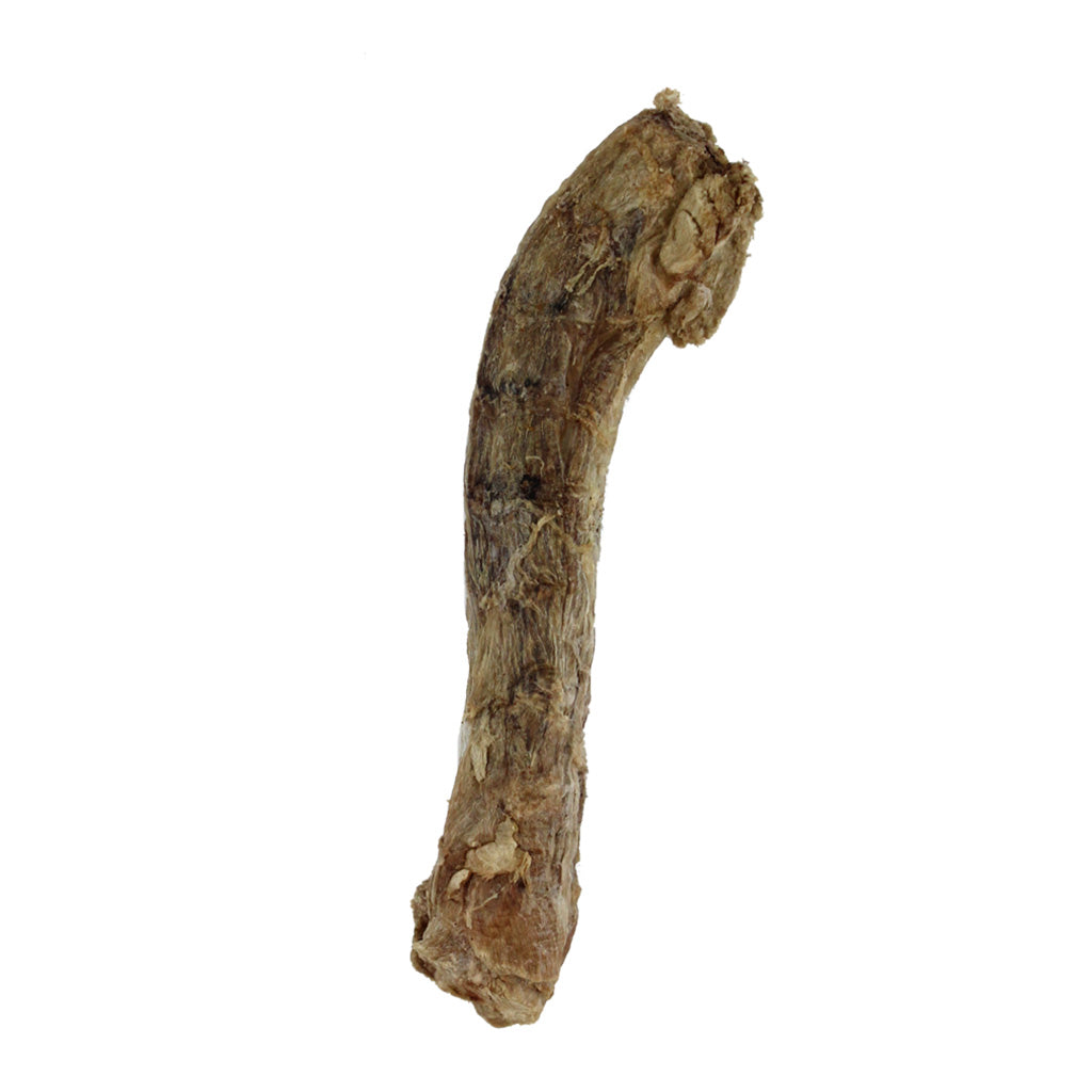 Raw freeze-dried Duck Neck Dog Treat Vital Essentials