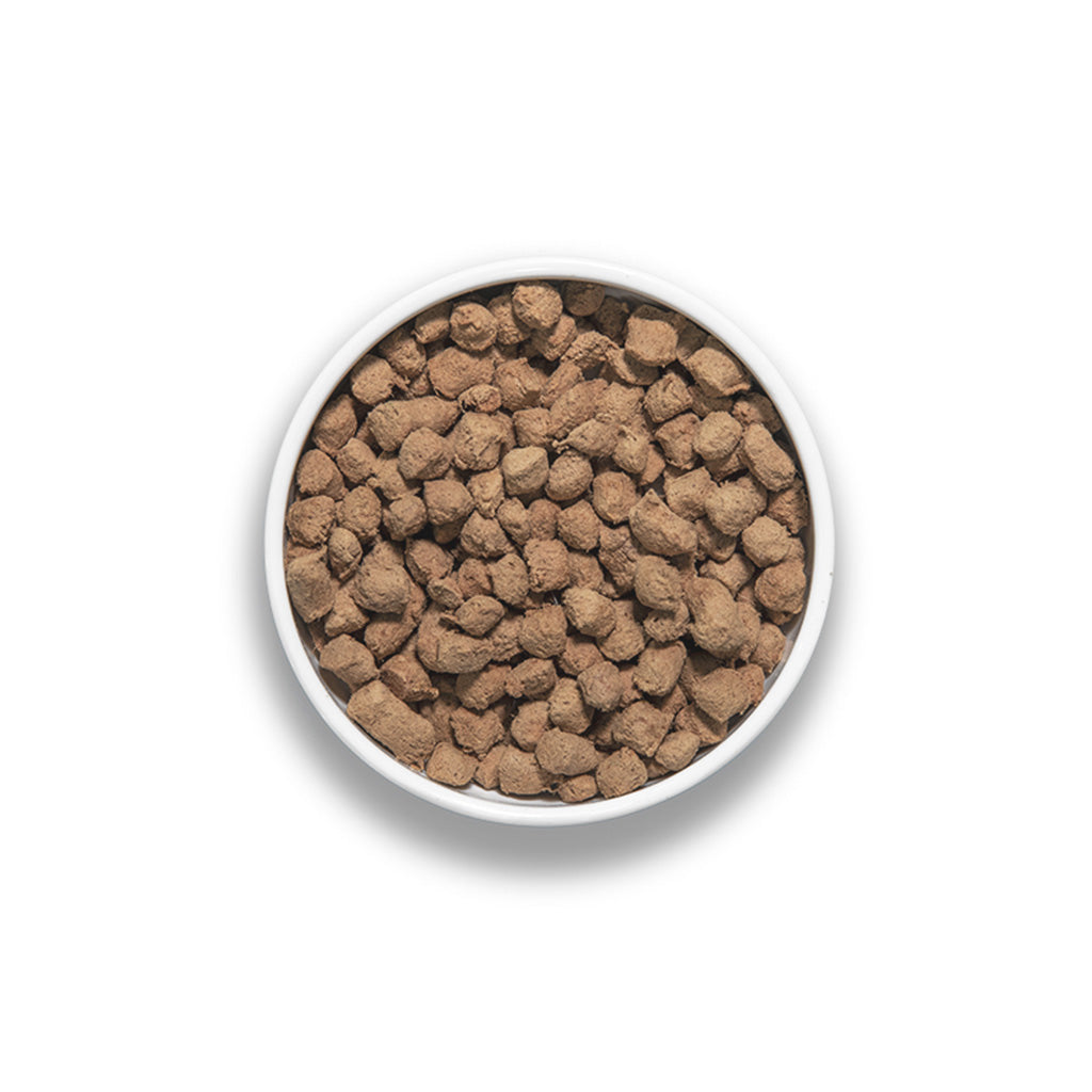 Top view of BIXBI RAWBBLE freeze-dried dog food pieces in a white bowl on a white background.