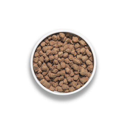 Top view of BIXBI RAWBBLE freeze-dried dog food pieces in a white bowl on a white background.
