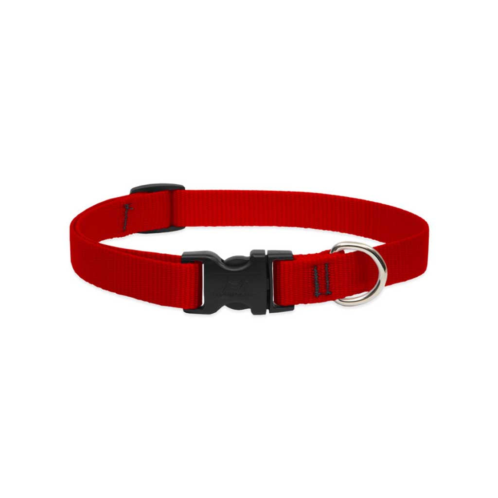 Red Lupine Pet adjustable dog collar with stitched nylon webbing, a black buckle, and silver D-ring.