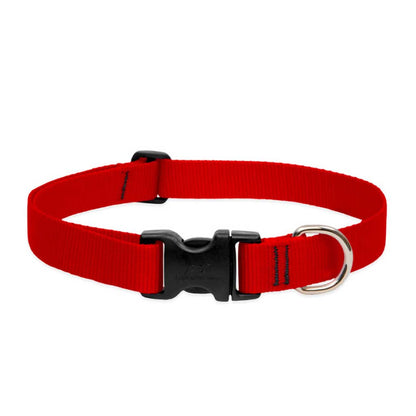 Red Lupine Pet adjustable nylon dog collar with a black side-release buckle and metal D-ring.