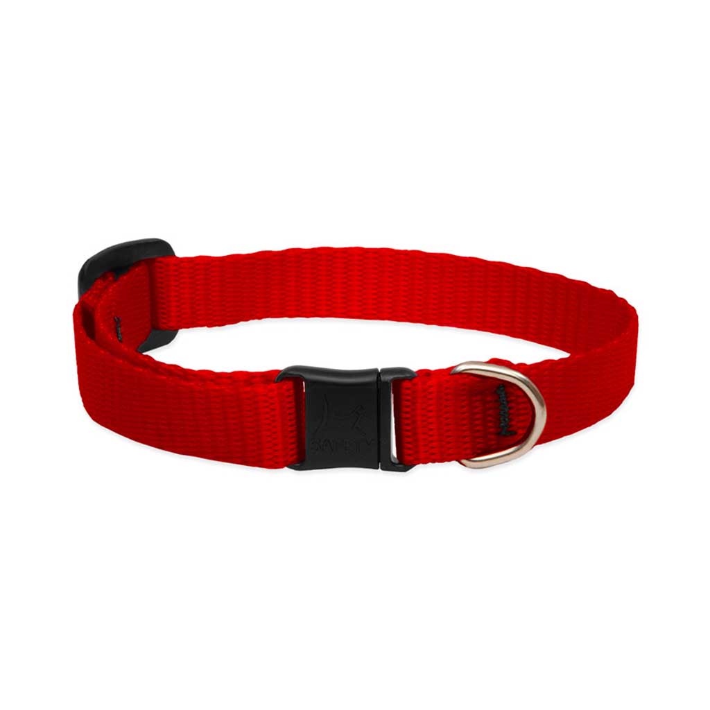 Red Lupine Pet nylon collar with a black buckle and silver D-ring, shown on a white background.