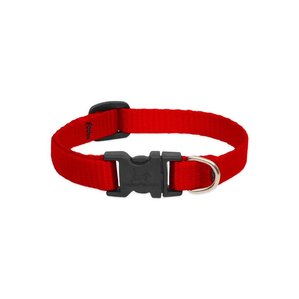 Red Lupine Pet nylon collar showing the adjustable strap, black buckle, and metal leash ring.
