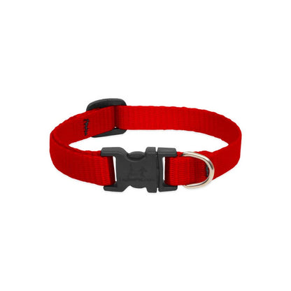 Red Lupine Pet nylon collar showing the adjustable strap, black buckle, and metal leash ring.