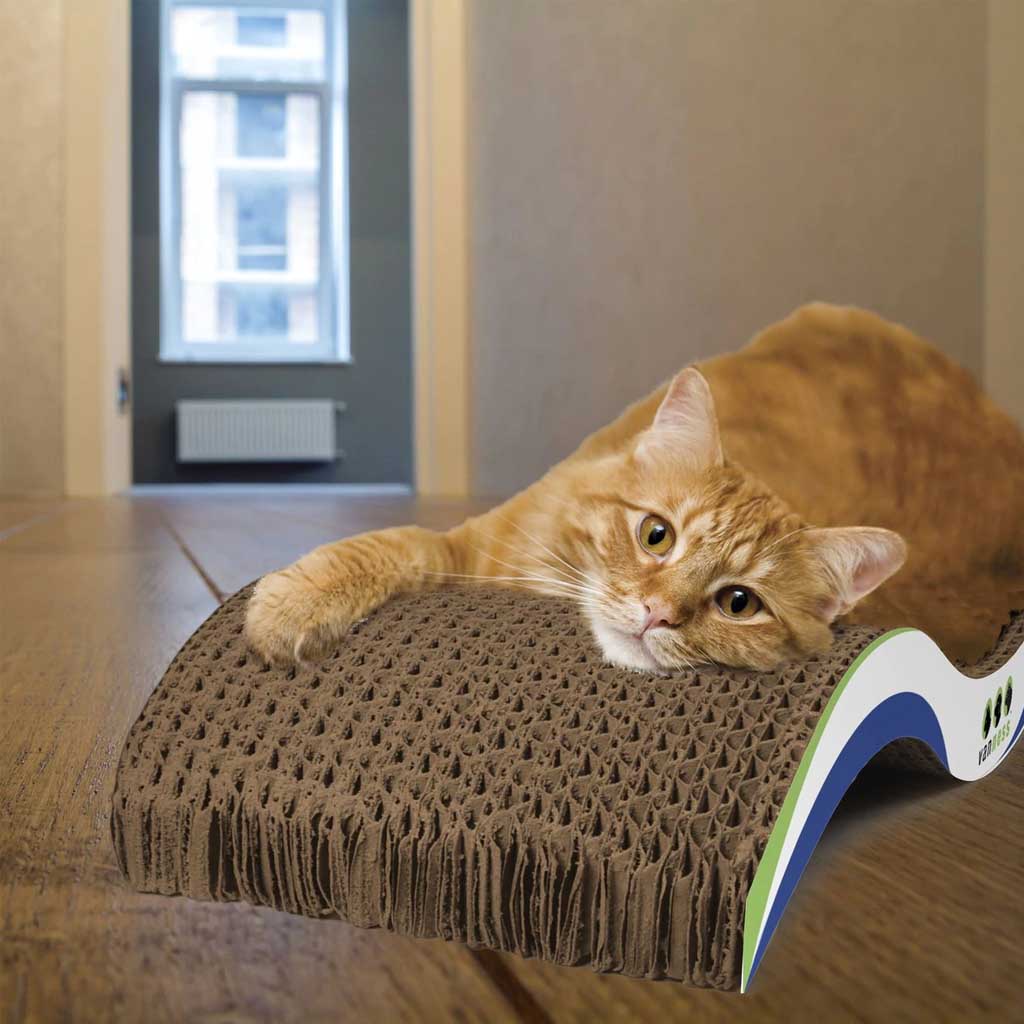 Scratch & Relax Pad