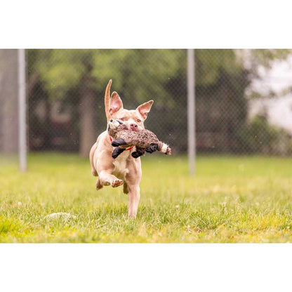 Tan dog running across grass carrying a Fluff & Tuff Rocket Raccoon plush toy in its mouth.