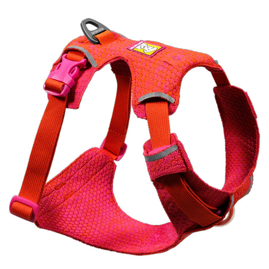 Front Range Flex Knit Harness