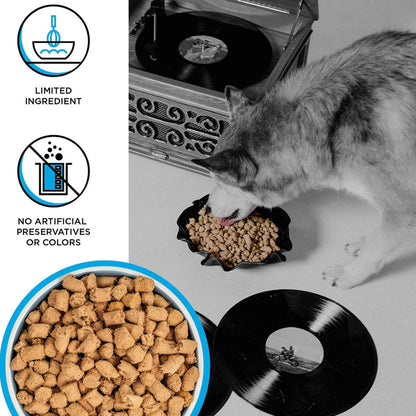 Husky eating BIXBI RAWBBLE Chicken & Salmon Recipe from a bowl, with a close-up of freeze-dried pieces and limited-ingredient and no artificial preservatives or colors callouts.