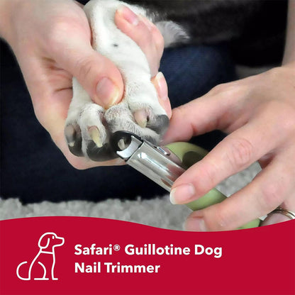 Stainless Steel Guillotine Nail Trimmer for Dogs