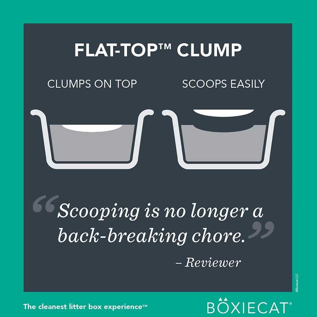 Flat top clump scoops easily. 