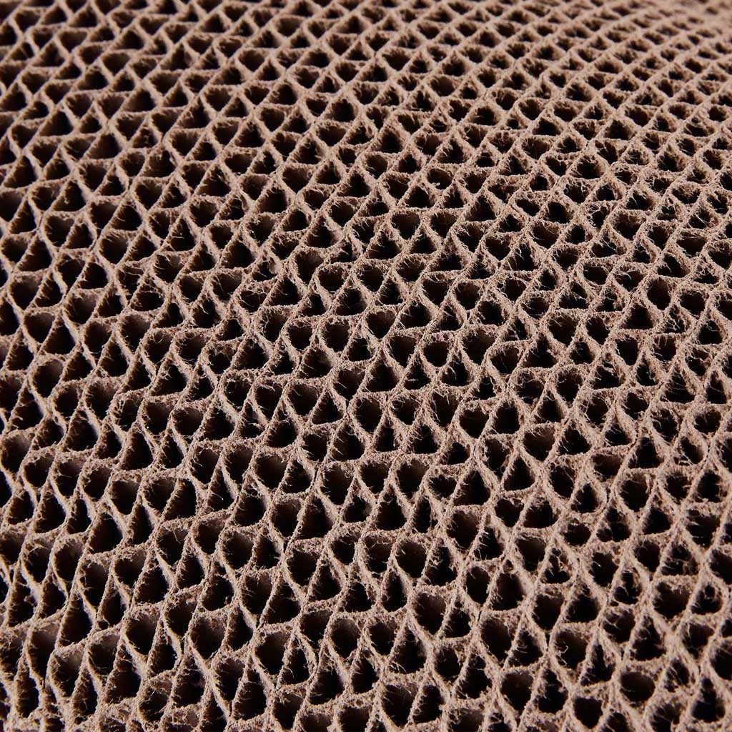 Narrow Scratcher close up texture 